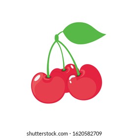 red  cherry vector illustration fruit