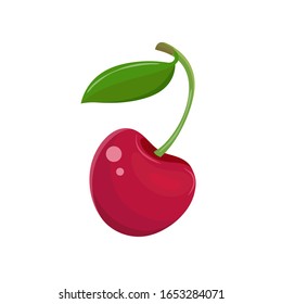 Red cherry in a vector on a white background. Garden berry with a leaf on the stem. Sweet fruit. Berry icon. Hand drawn vector illustration.