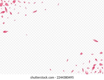 Red Cherry Vector Transparent Background. Rose Isolated Cover. Petal SummerDrop Congratulation. Lotus Flutter Template. Bright Peach Dream Texture.