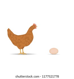 red chicken with egg on white background