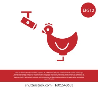 Red Chicken farm and wireless Controlling CCTV security camera icon isolated on white background.  Vector Illustration