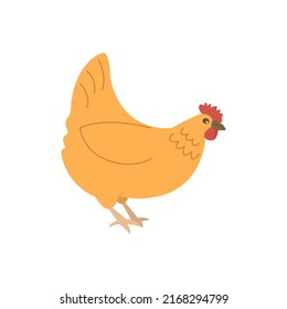 Red chicken is walking. Colorful vector isolated hand drawn illustration. Domestic bird. Poultry breeding concept, rural life, farming. Village life. Single icon