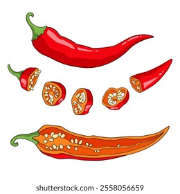 Red Chile pepper cut into pieces, spicy cayenne pepper with seeds, vector illustration