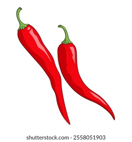 Red Chile pepper, spicy cayenne pepper vector illustration