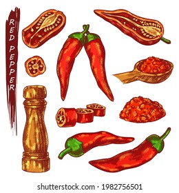 Red chili or cayenne pepper sketch icons