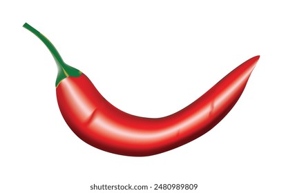 Red chili, Hot chili paper Realistic vector illustration isolated white background banner template