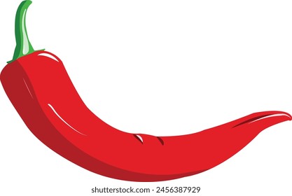 Red Chili  on white background. vector image 