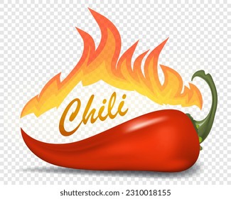 Red chili pepper with blazing fire. Hot spicy chili pepper vector illustration for logo or design. 