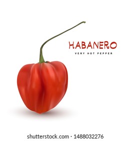 Red Chili Pepper Habanero Isolated on White Background. Single Very Hot Habaneros Vector 3d Illustration
