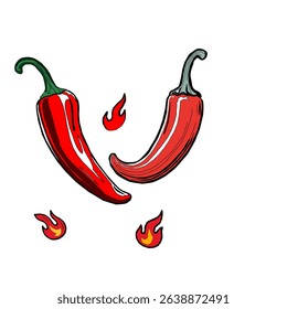 Red chili pepper hand drawn illustration. Vibrant red chili pepper illustration. Hand drawn red chili pepper. Red chili pepper doodle