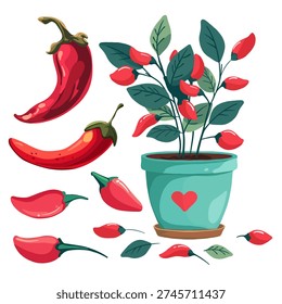 Red Chili Pepper Hand Drawn Set with Potted Plant