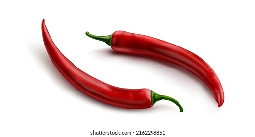 Red chili pepper, hot spicy plant pod, paprika cayenne with green stem vector realistic illustration isolated on white background. Ripe vegetable with shadow