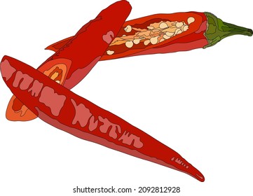 Red chili pepper isolated on a white background. Side View. Vector illustration.