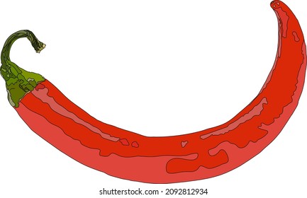 Red chili pepper isolated on a white background. Side View. Vector illustration.
