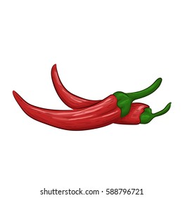 Red chili pepper isolated on white background. Vector illustration hand drawn style