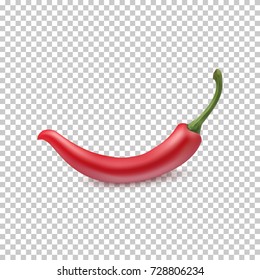 Red chili pepper isolated on transparent background. Vector illustration.