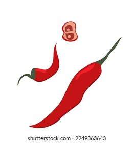 Red Chili pepper on white background. Vector icon set. Isolated vector illustration.