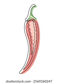 Red chili pepper in section line isolated on white background. Simple silhouette of vegetable. Hand drawn сhili pepper outline. Vector illustration