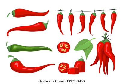 Red chili pepper set. Spicy ingredients, Mexican chilly, paprika. Cartoon vector illustrations for vegetable, food, cooking concept