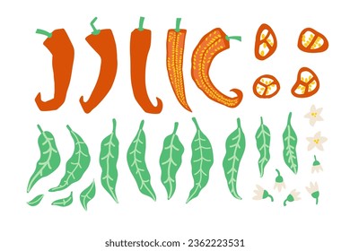 Red chili pepper set. Spicy ingredients, Mexican chilly, paprika. Cartoon vector illustrations for food, cooking, vegetable concept