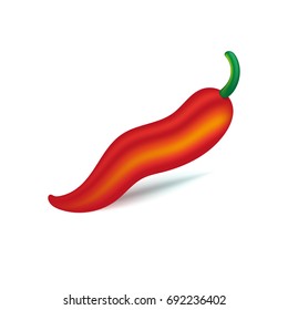Red chili pepper with shadow. Isolated on white background. Vector illustration.  