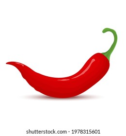 Red chili pepper. Single chili pepper isolated on white background. Whole hot chili peppers icon. Chile cutoff path. Vector flat cartoon style.