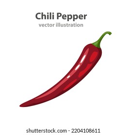 Red chili pepper vector illustration