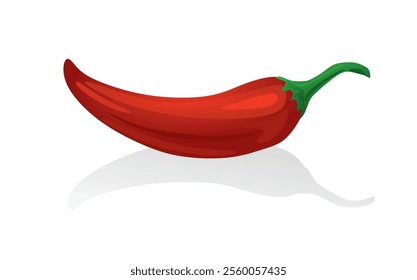 Red chili pepper. vector illustration