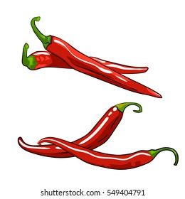 Red chili pepper vector illustration isolated white background. Set of realistic hand drawings of whole and half ripe peppers
