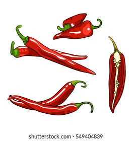 Red chili pepper vector illustration isolated white background. Set of realistic hand drawings of whole and half ripe peppers