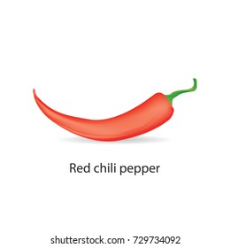 Red chili pepper vector illustration.