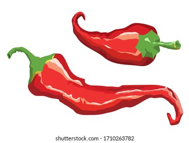 Red chili peppers. Vector illustration isolated for design 