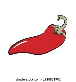 red chili pod vector icon isolated on white