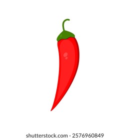 red chili. spicy food. vector illustration