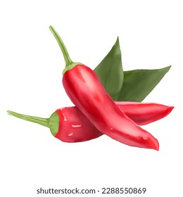 red chili with style hand drawn digital painting illustration