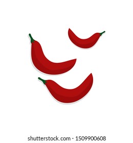 red chili vector design, chili illustration design.