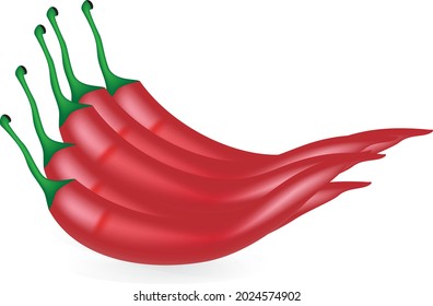 Red chili with vector illustration.