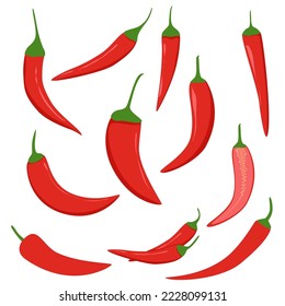 red chili vector illustration collection