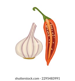 red chili vector illustration with and garlic 
