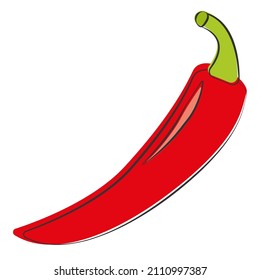 Ají rojo. Ilustración vectorial aislada en fondo blanco.