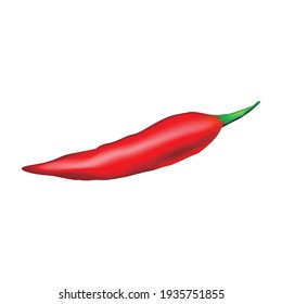 Red Chili Vector illustration Realistic