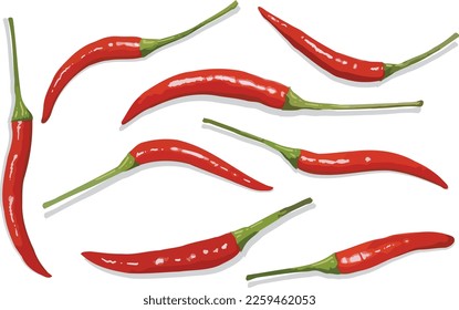 Red chilies isolated on white background. Spicy ingredient.