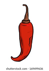 red chilli / cartoon vector and illustration, isolated on white background.