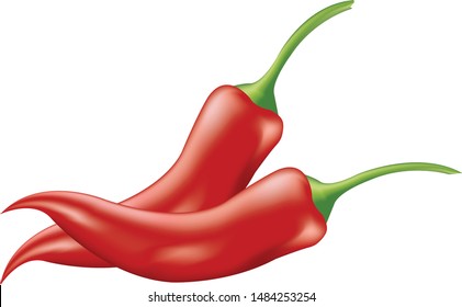 Red chilli isolated on a white background
