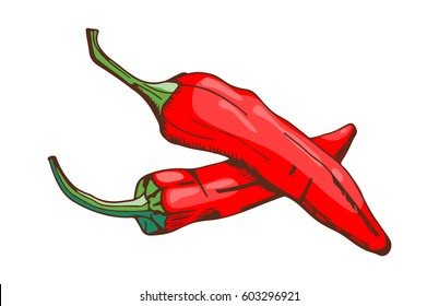 5,111 Red Chilli Hand Drawn Images, Stock Photos & Vectors 