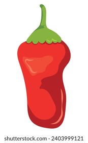 red chilli pepper illustration vector isolated