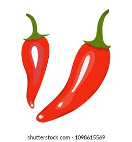 Red chilli pepper isolated on white backgroung. Hand drawn pepper in cartoon style