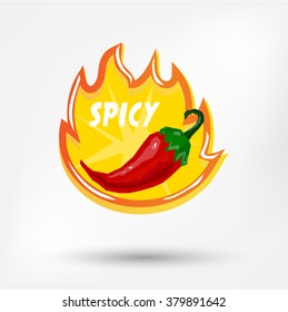 Red chilli pepper isolated on bright background