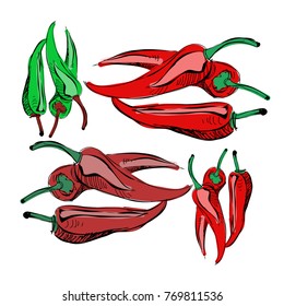 Red chilli peppers, hot vegetable, hand drown, vector