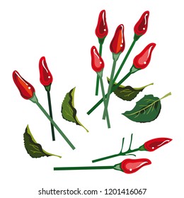 Red chilli peppers isolated on white background. Vector illustration.